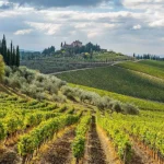 Chianti Landscape