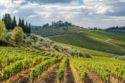 Chianti Landscape