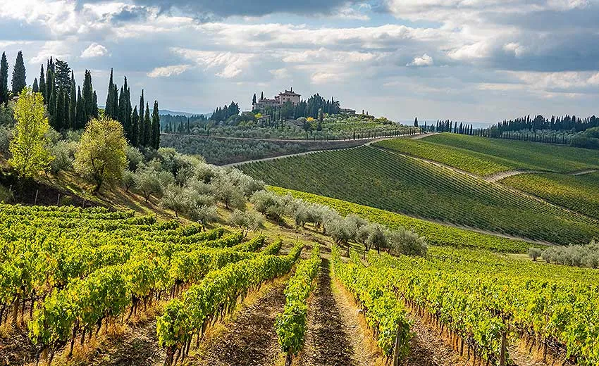 Chianti Landscape