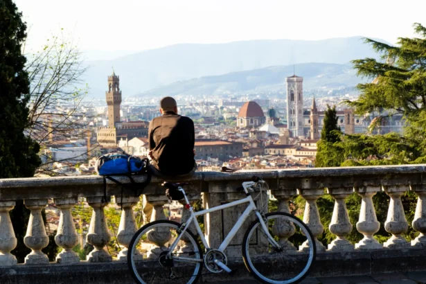 Mobility in Florence